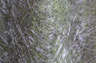 Calcoed fibreglass roof work